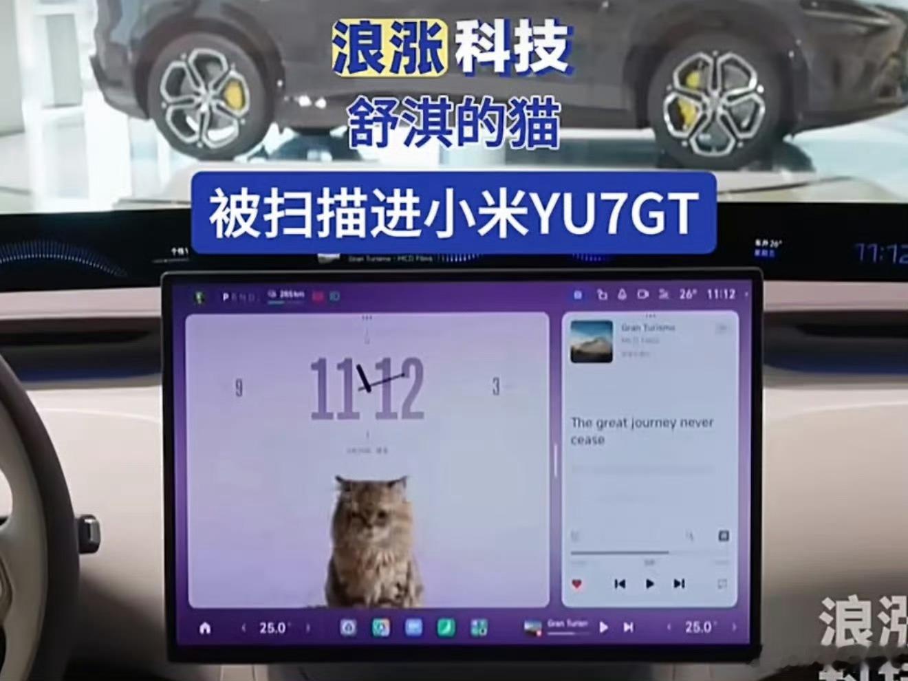 笑不活了家人们！前几天舒淇还在说要考驾照自己开车，结果她的猫先一步被扫描进小米Y