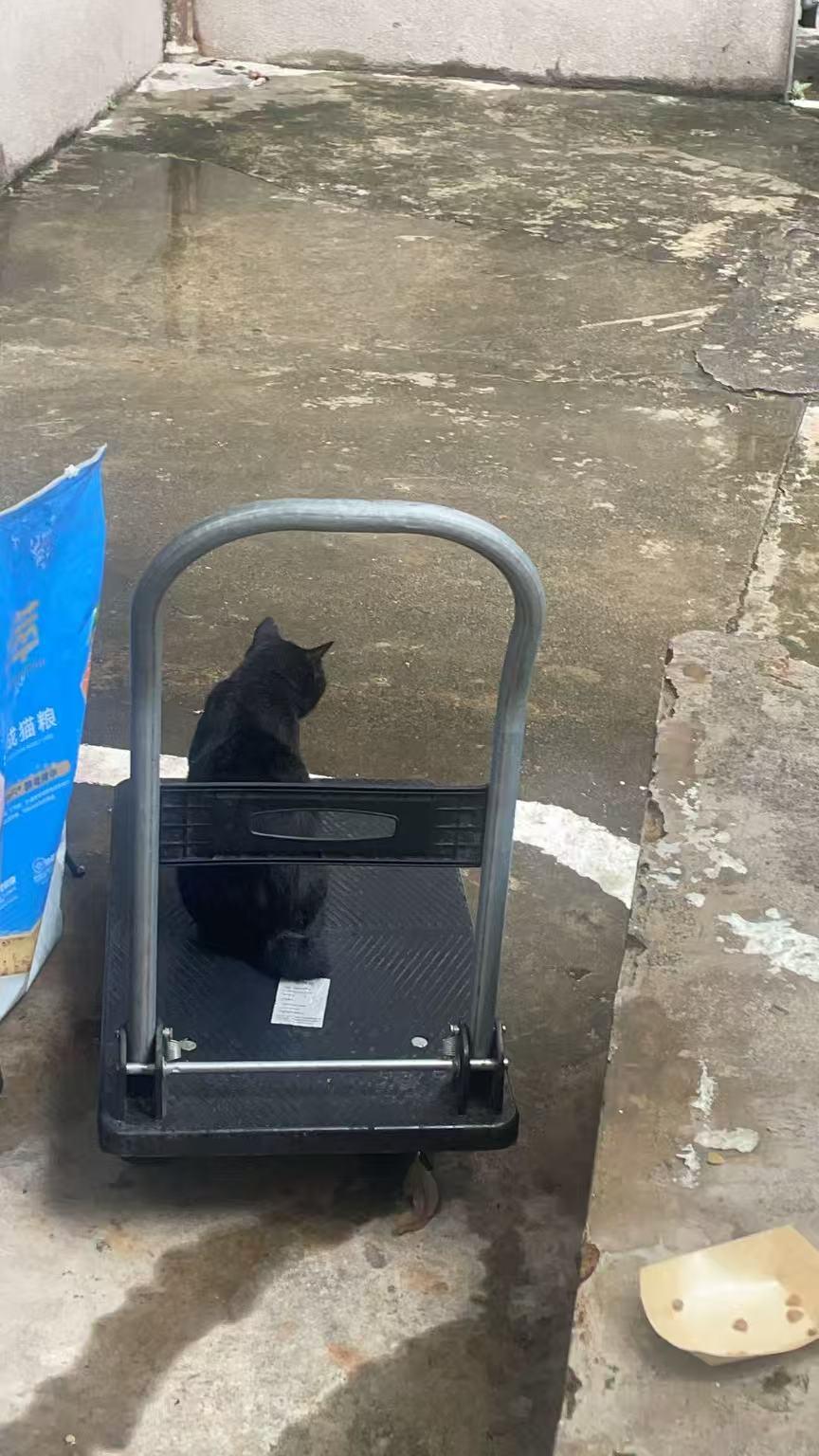 黑子也喜欢坐车