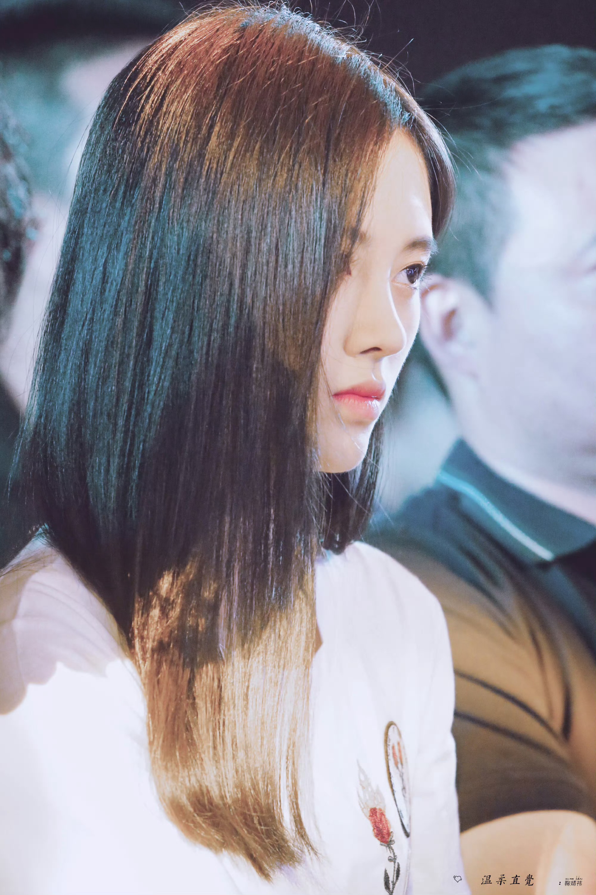jjy鞠婧祎jjy鞠婧祎阿黛向日葵依然向阳而生，我们的故事有始无终。
