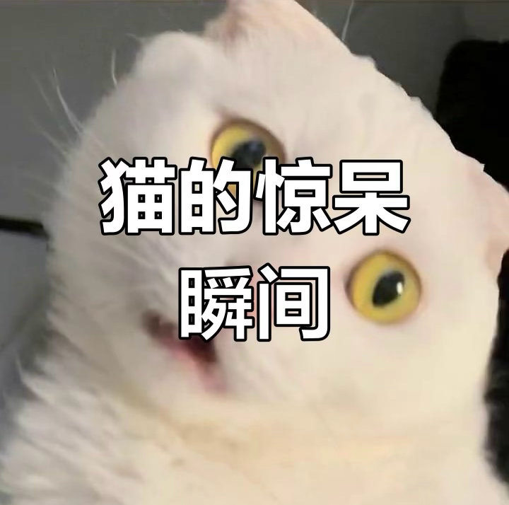 好家伙，你入驻了一个七个主持全墨过男主的剧超话，其中一个主持还是泰度[裂开]甚至