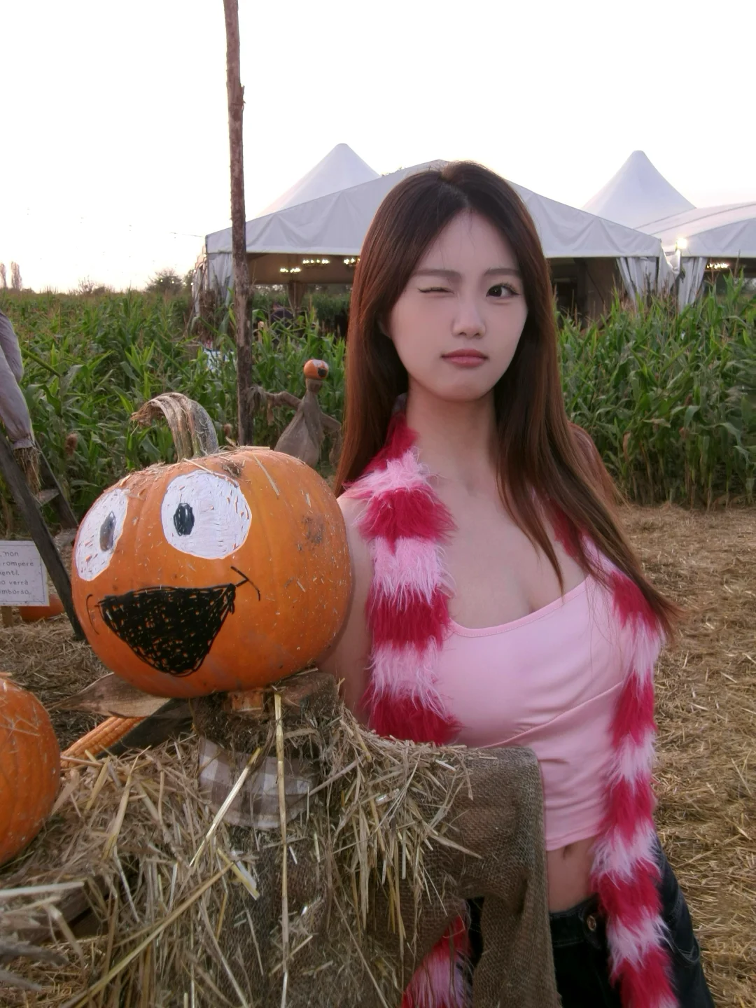 🎃Halloween出发南瓜农场