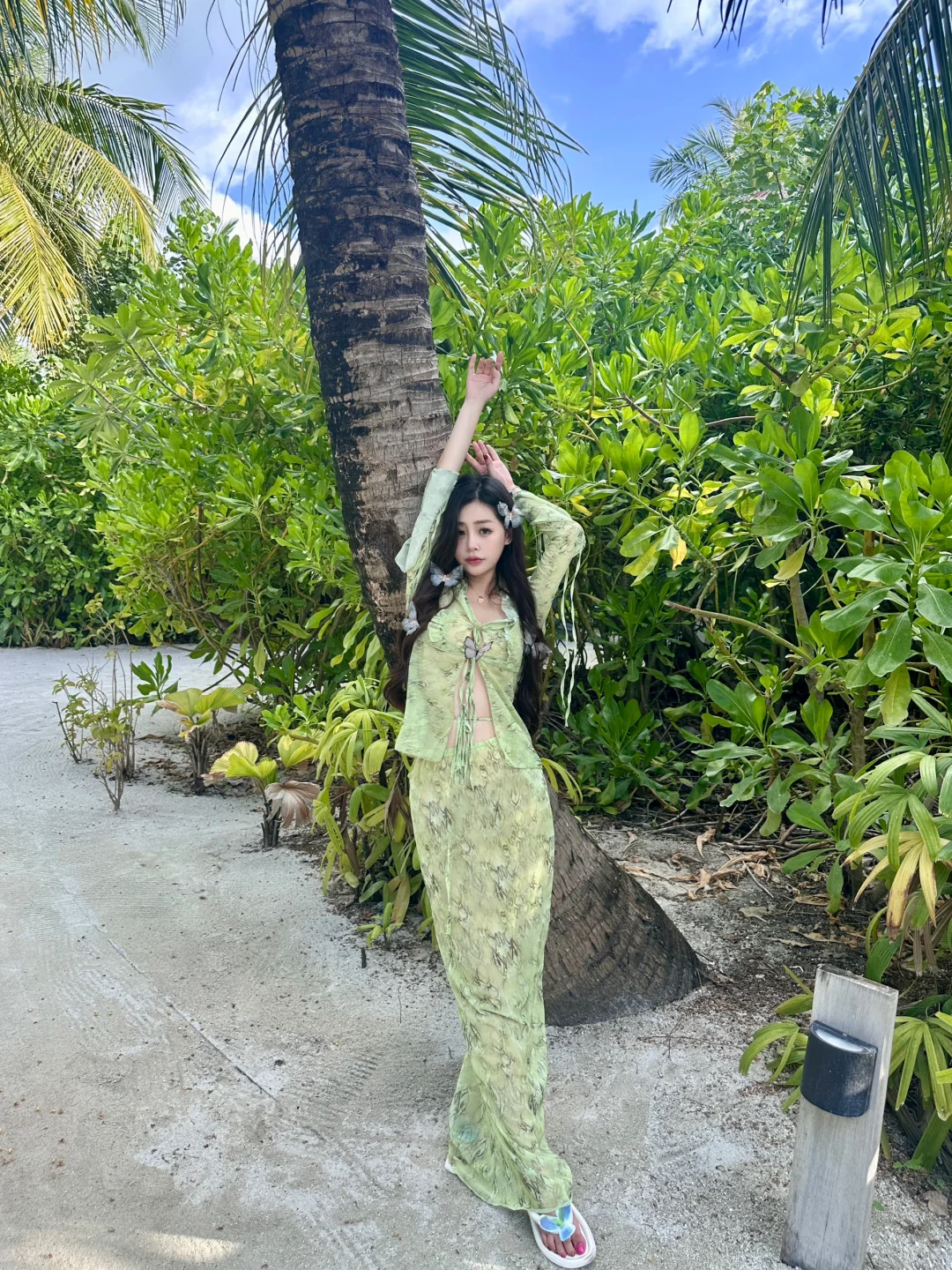 绿野仙踪🦜