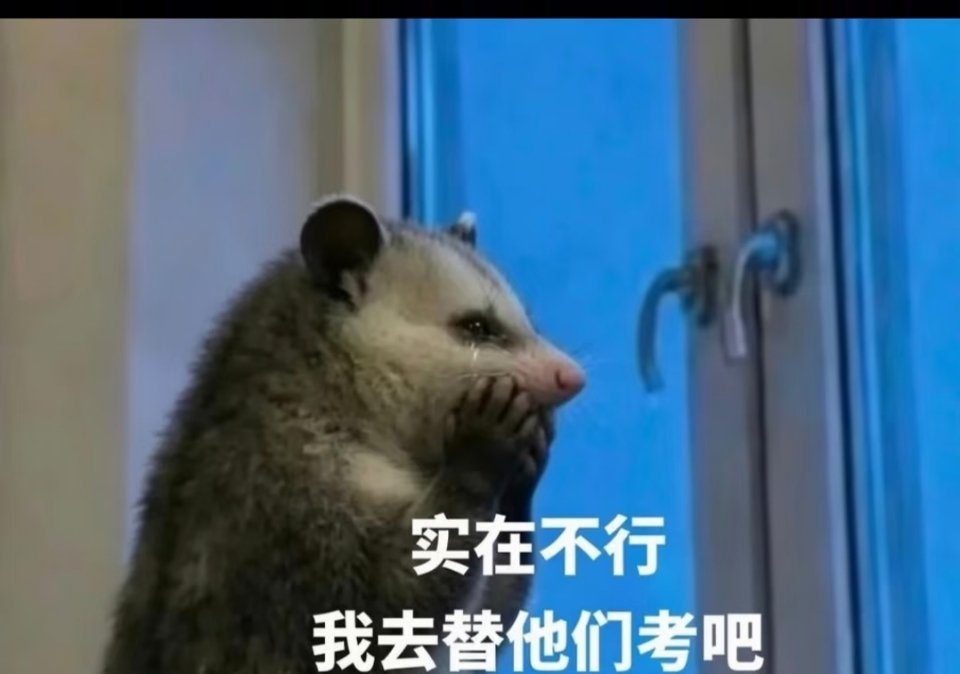 学霸真的是一种很神奇的生物别人放假疯狂补课刷题，他们出门游玩放松身心。开学测试依