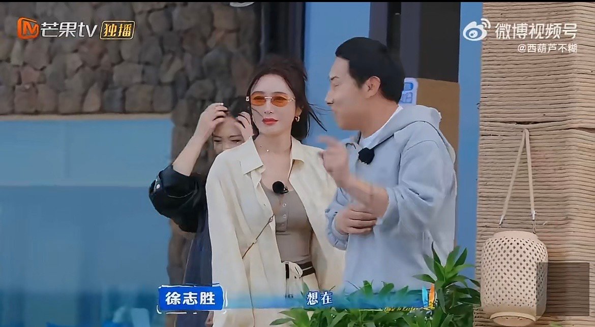 秦岚沈月徐志胜讨论如何背刺同事 本来是佛系三人组，结果聊起背刺同事一套接一套，喜