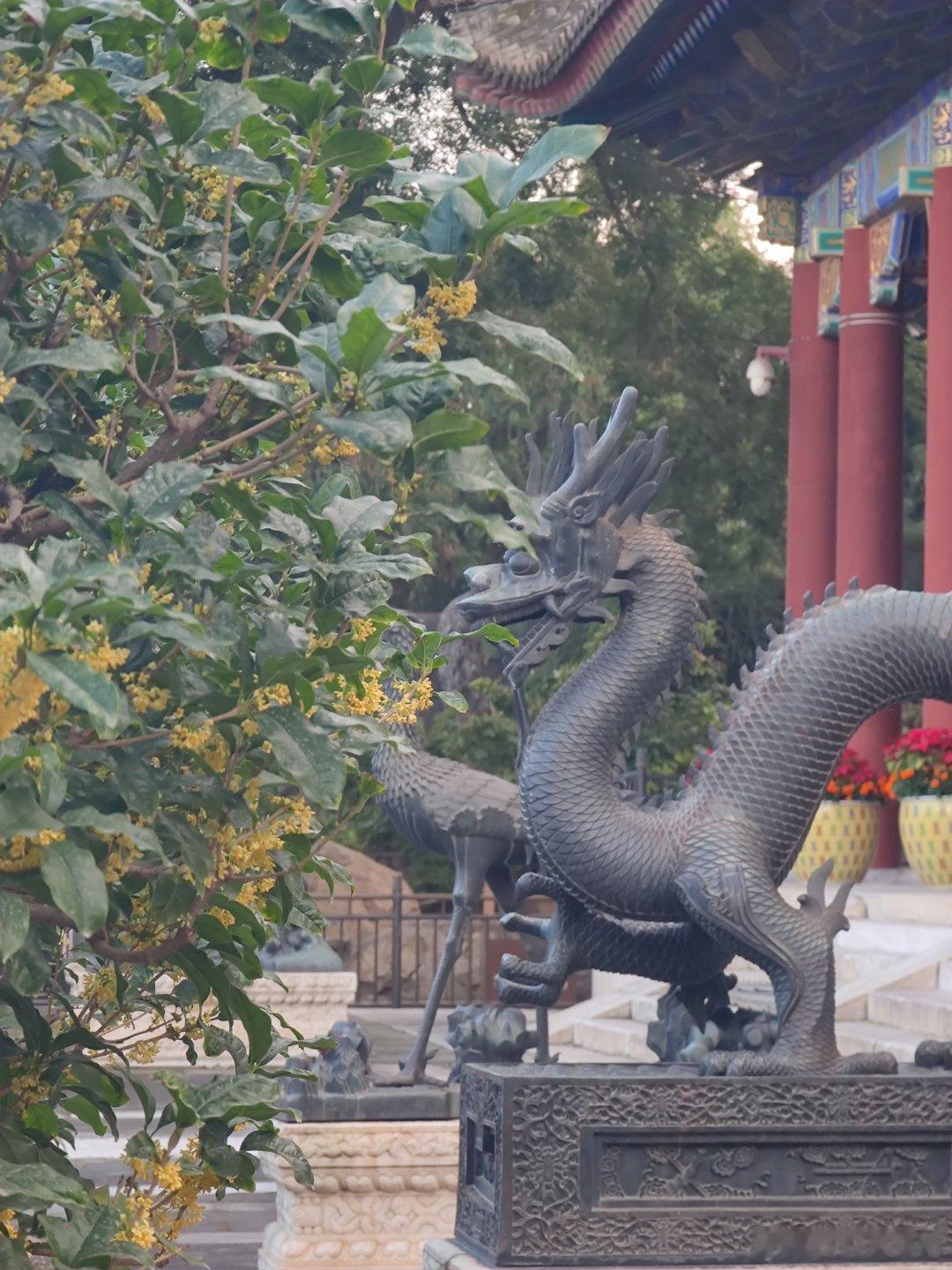 初秋北京颐和园盛景摄影​​​