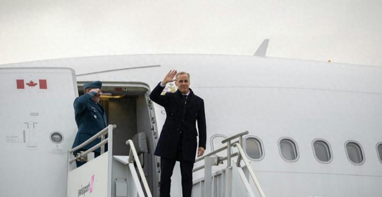 菜籽油落地，电车卡关，合作还能走多远？
2026年1月19日，中国买了6万吨加拿