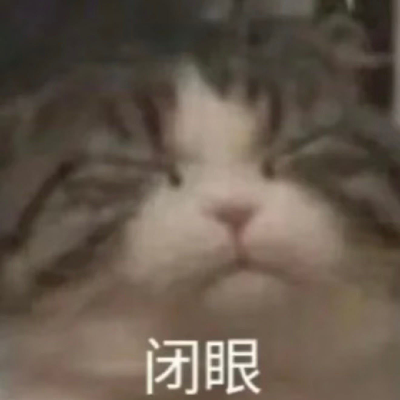 八月之前下楼 没有多少时间了 