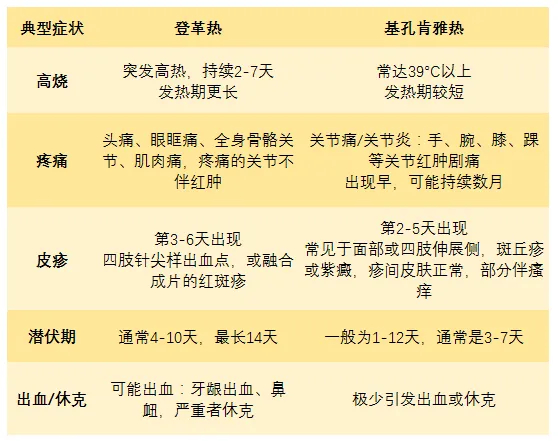 【注意！#基孔肯雅热禁用阿司匹林#】#如何区分基孔肯雅热与登革热# 夏秋季节，蚊