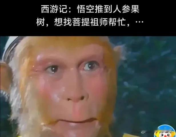 人生何其有幸，我学生时遇到了菩提老祖，初进职场，又遇到了唐僧。

一个老师，一个