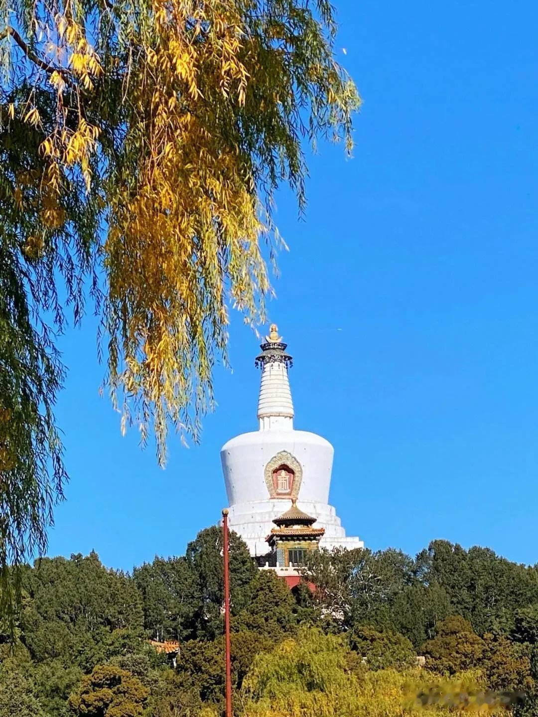 #秋之童话# 
白石塔，白石搭，白石搭白塔，白塔白石搭，搭好白石塔，白塔白又大。