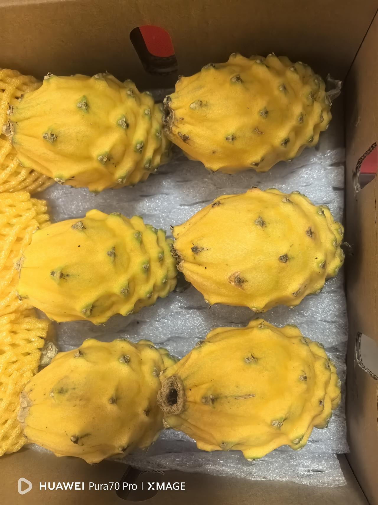 网友们有知道这是什么水果的吗！外孙子从三亚寄来两箱时令水果，今天先到了一箱，打开