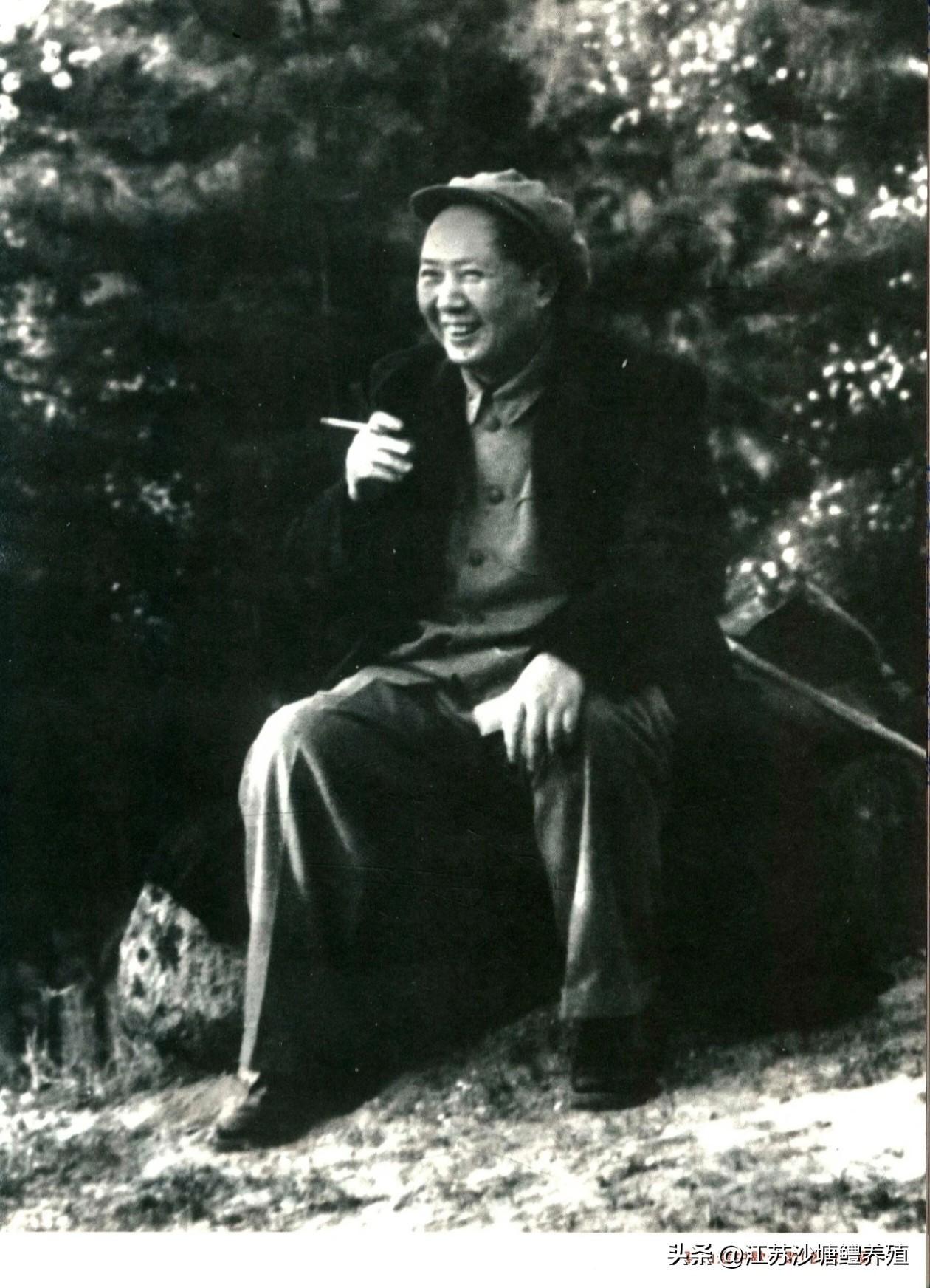 登山途中，
主席坐在山石上短暂歇息，
神情舒展，
笑容爽朗。
身处山林之间，
一