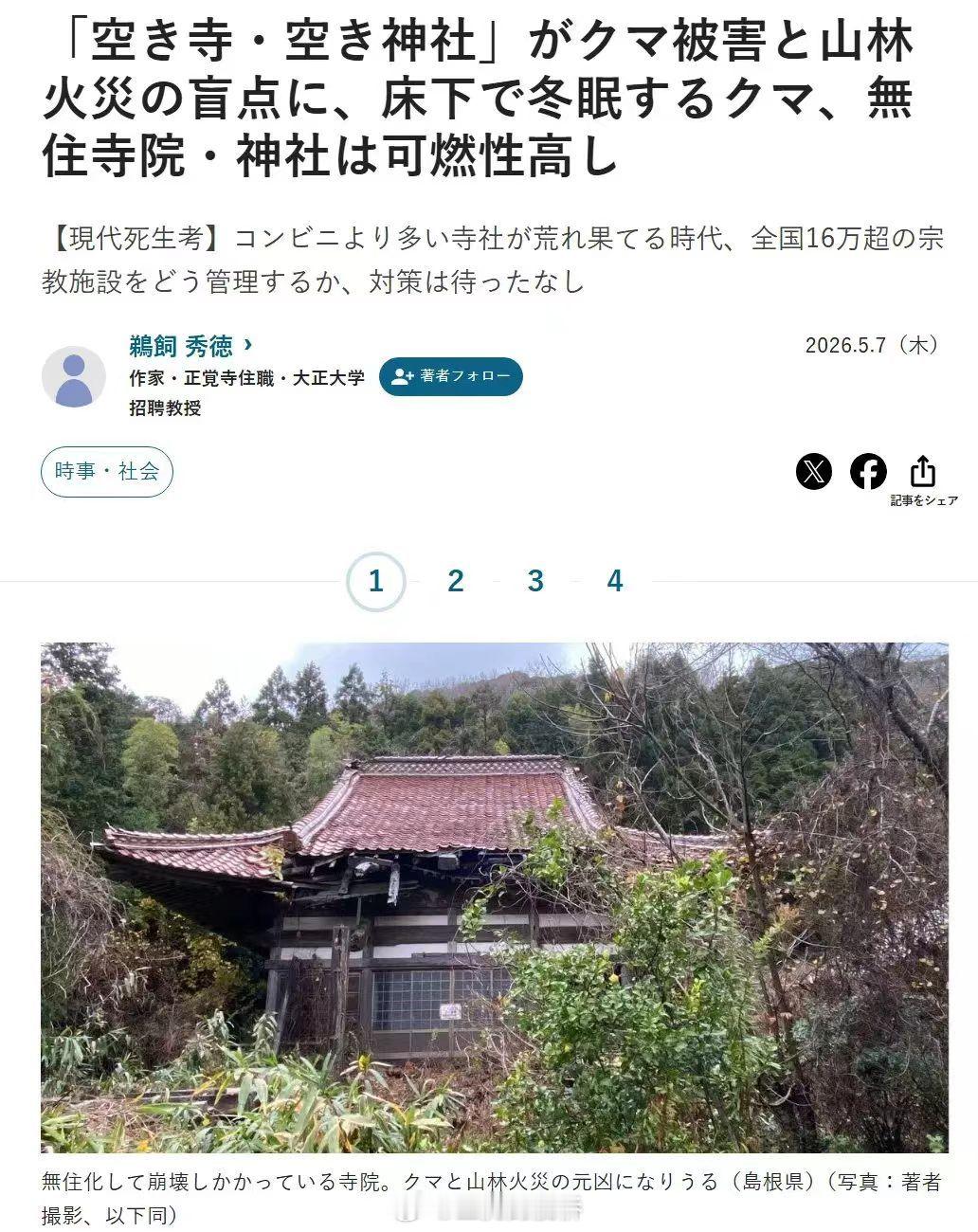 日本的熊已经开始占据废弃寺院啦！黑风大王，堂堂上线！
