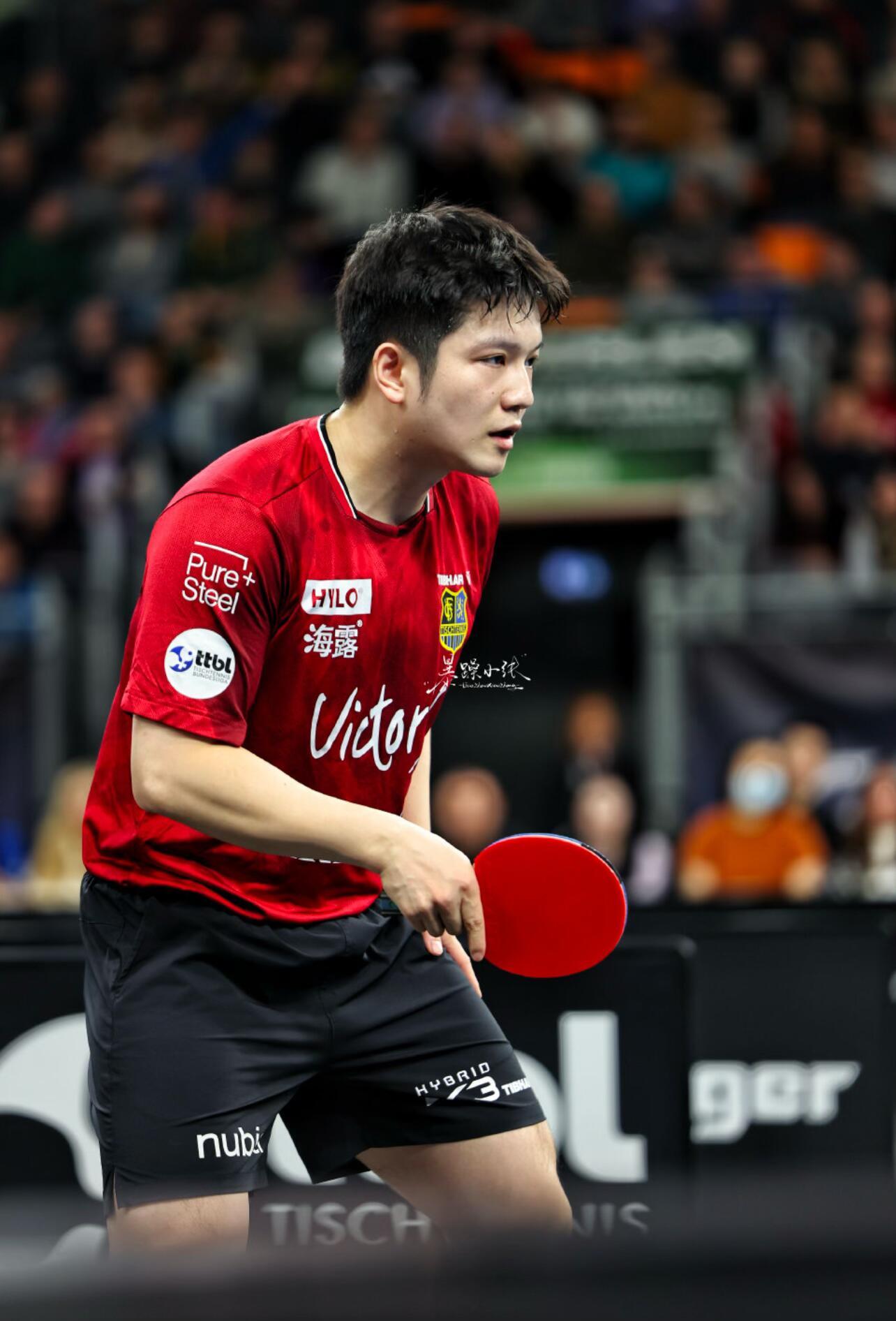 红衣东哥 樊振东以球为刃，以心为盾 