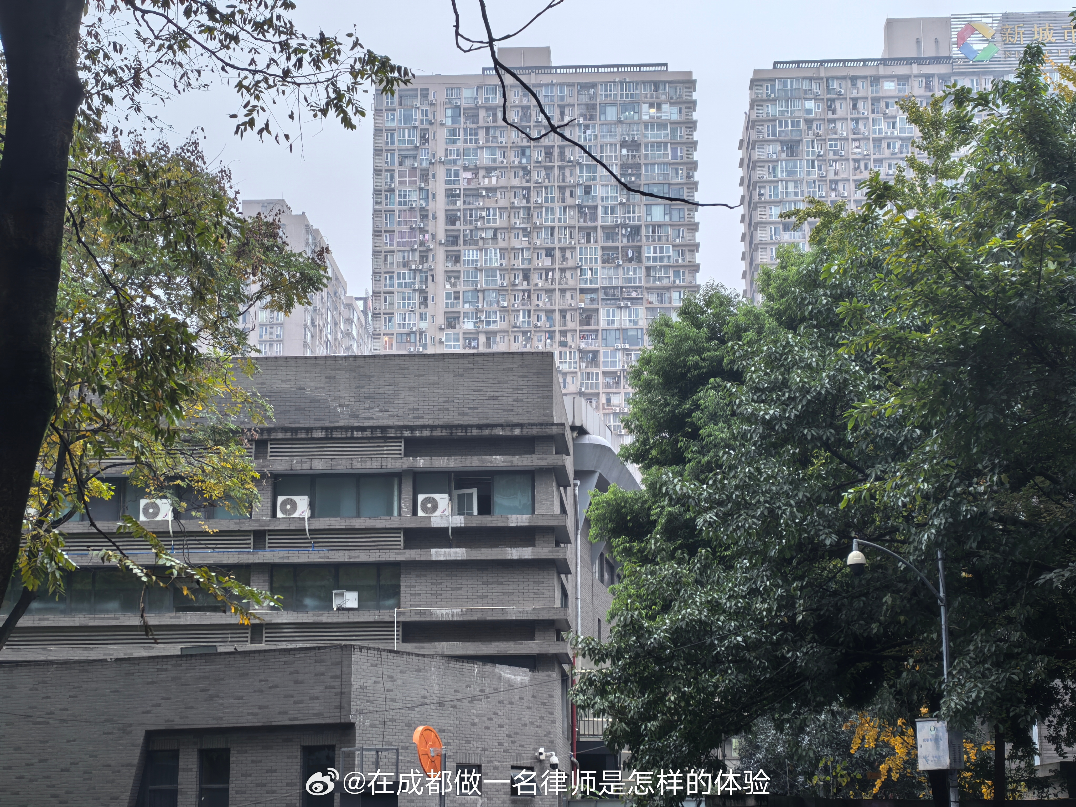 过来找当事人盖授权委托书，并且拿当事人的主体资料加盖公章。我问当事人，临近中秋和