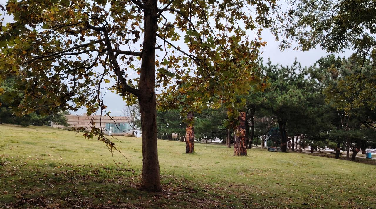 深秋的雨，不期而来