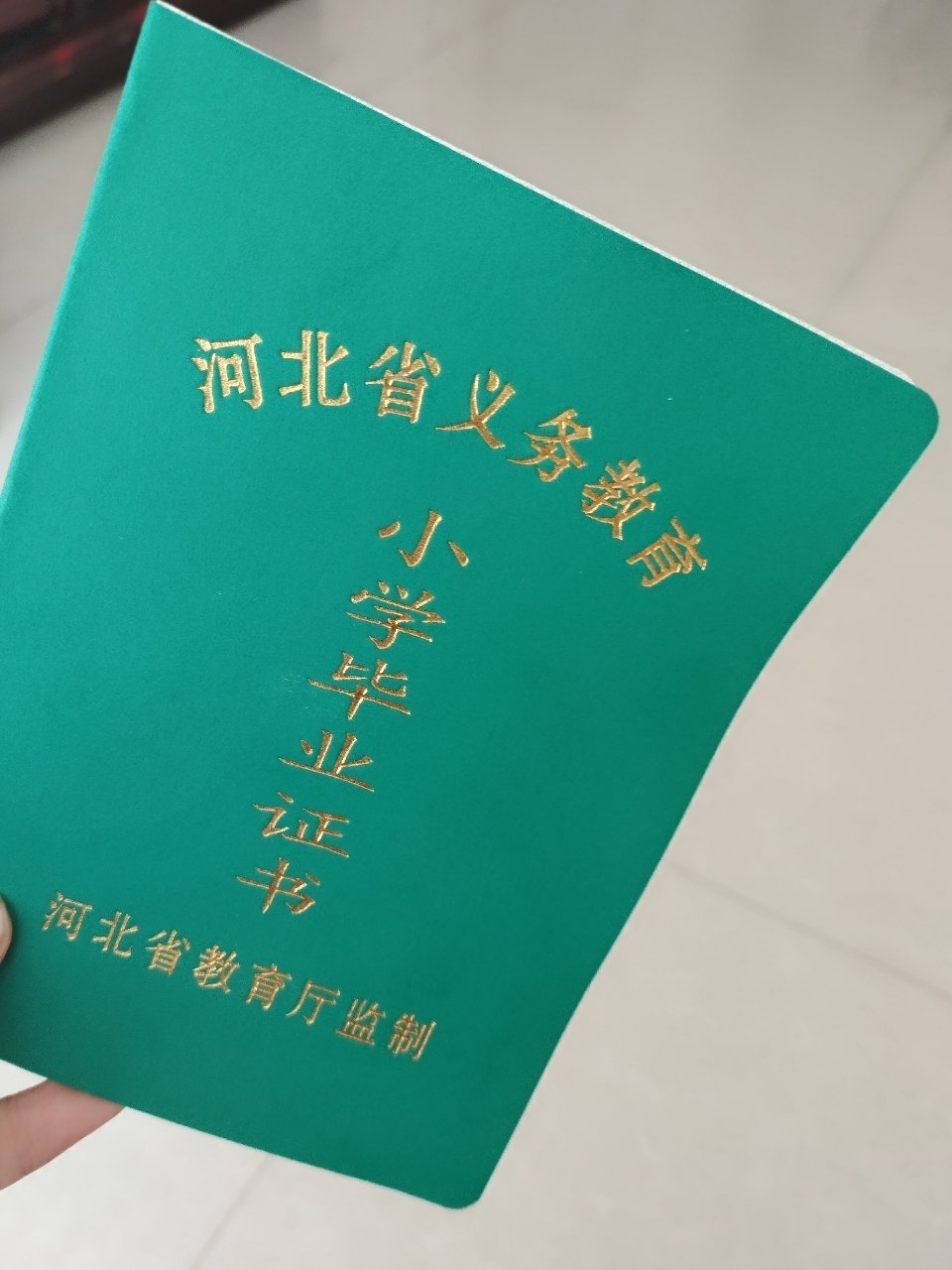宝宝们我小学毕业了 