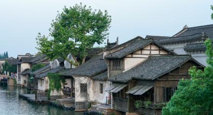 今天咱们就聊透绍兴文理学院。不整那些虚的，分数线、王牌专业、就业出路、招生人数，