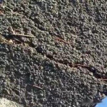 一到晚上总是会迷之精神 ​​​