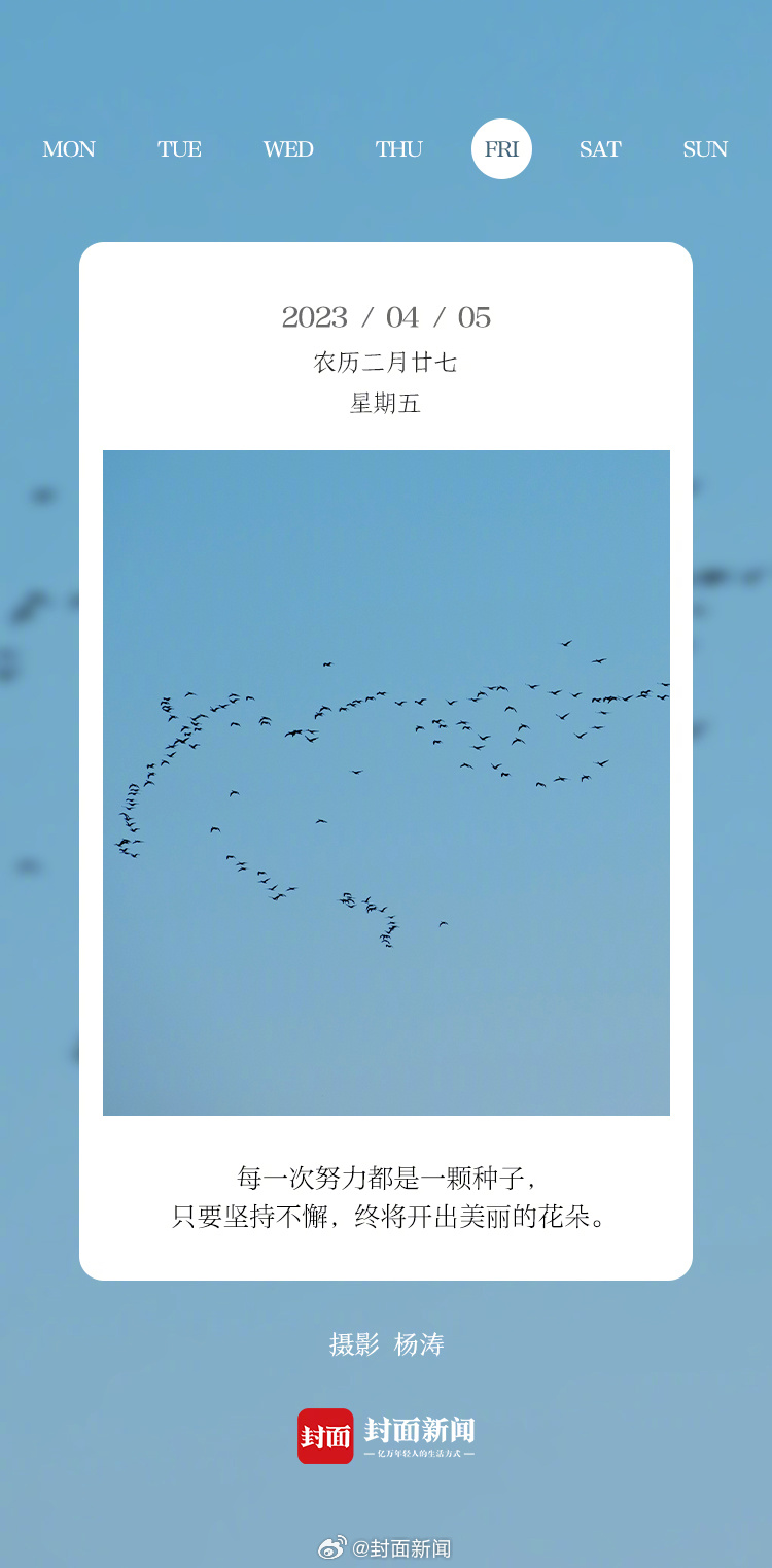 #小封日历# 早安，今天准备怎么过？ ​​​