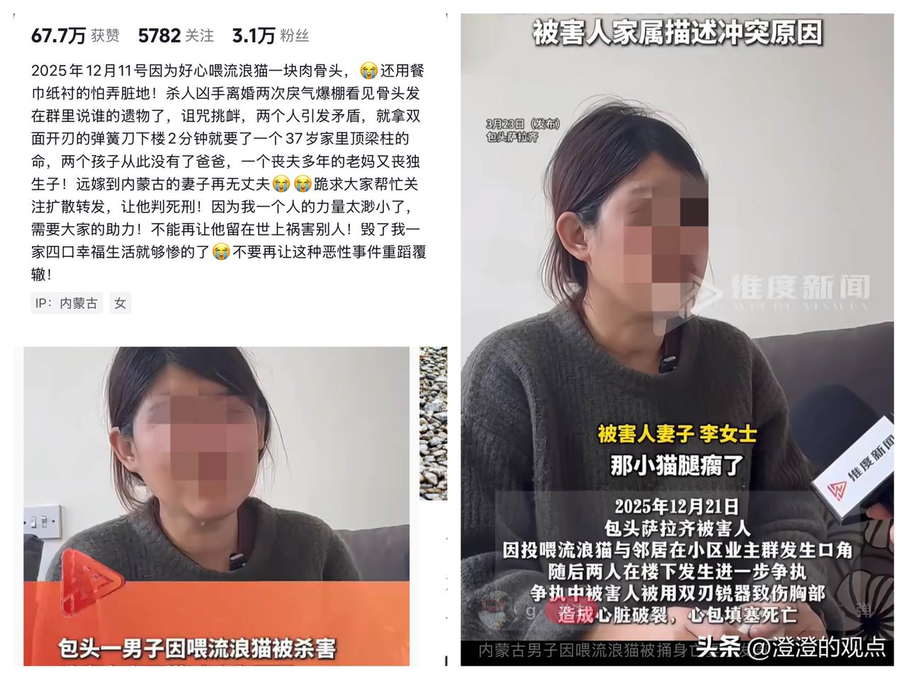 看完包头这起因喂流浪猫引发的悲剧，真的让人脊背发凉！

那个喂流浪猫的兄弟走了，