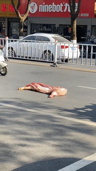 一整扇的新鲜猪肉掉落在了公路上？
旁边经过的行人竟然没有一个人停下来去捡？
这是