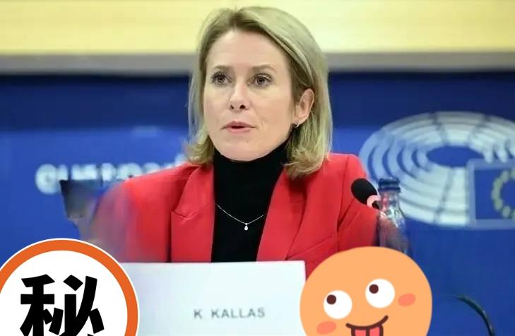 当地时间2月11日，欧盟外交与安全政策高级代表卡拉斯、欧盟委员会委员舒伊察及拉比