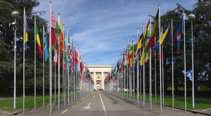 在世界各地的联合国办事处为近东救济工程处遇难成员降半旗

联合国驻世界各地的办事