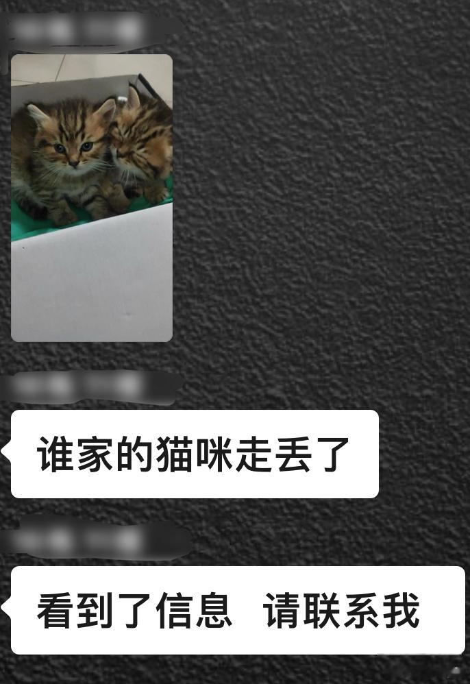 我们小区群里又说有猫了，不知道谁遗弃的，我家已经三只了，根本收养不下了，猫不绝育