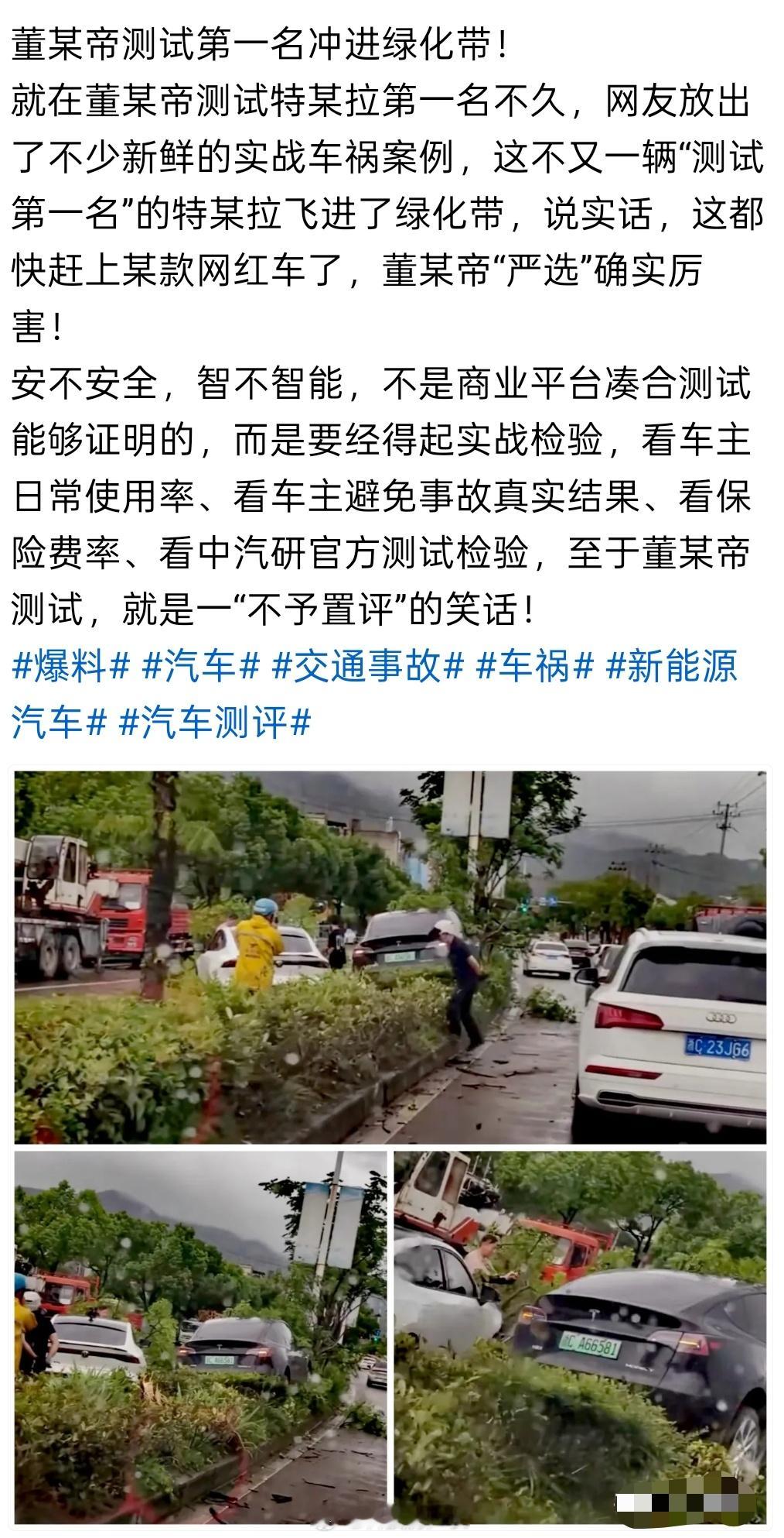 特斯拉快要被黑成“绿化带战神”了 ​​​