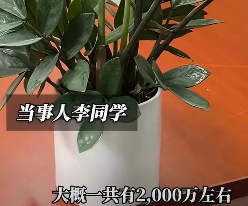 19岁立遗嘱留给发小，这届年轻人到底怎么了？不是因为冲动，而是因为父母各自重组家