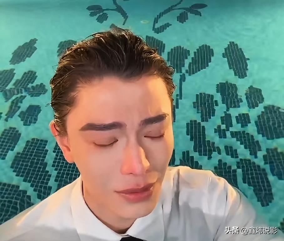 丁禹兮在《南部档案》直播中情绪激动，让这部热度口碑稳定却讨论度平淡的剧引发关注。