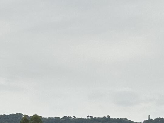 人的磁场真的很神奇，当你能够放松下来沉住气不再急于求成，专注于打磨自己...