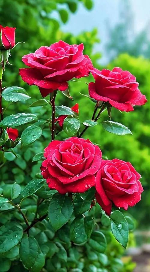 男女朋友微信聊天一长一短，男把对方当作女朋友，女的把对方当朋友
        