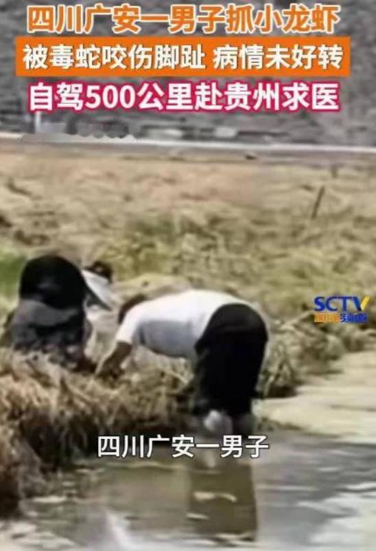 悲剧还是发生了！四川广安，一名男子深夜私自前往水田捕捉小龙虾，没抓到几个，反倒惨