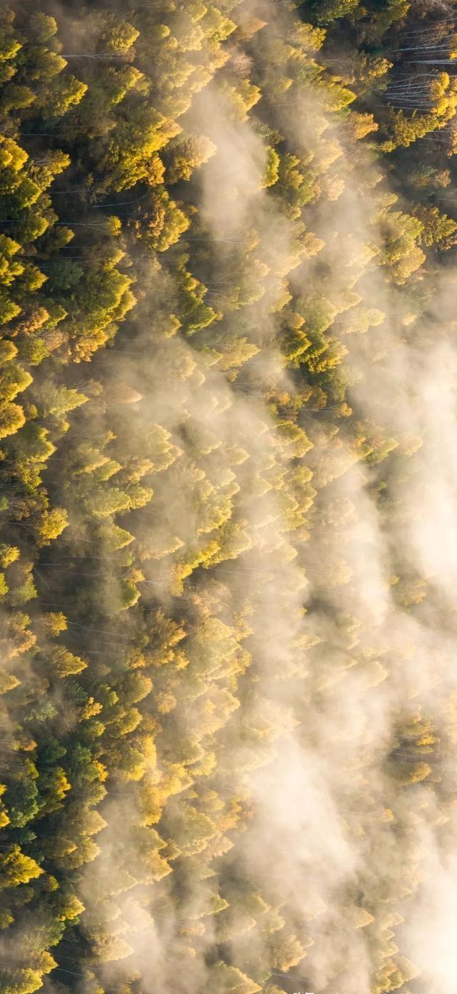 中国最震撼的秋色
就在这个森林第一大城！
说起秋天，你们脑子里蹦出来的是啥？北京
