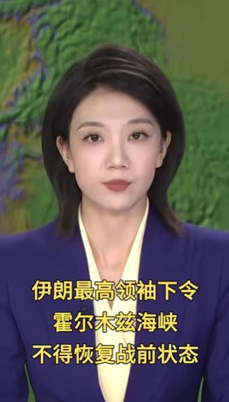 伊朗塔斯尼姆通讯社4月26日报道了这件事。伊朗伊斯兰议会副议长尼克扎德亲自对外发