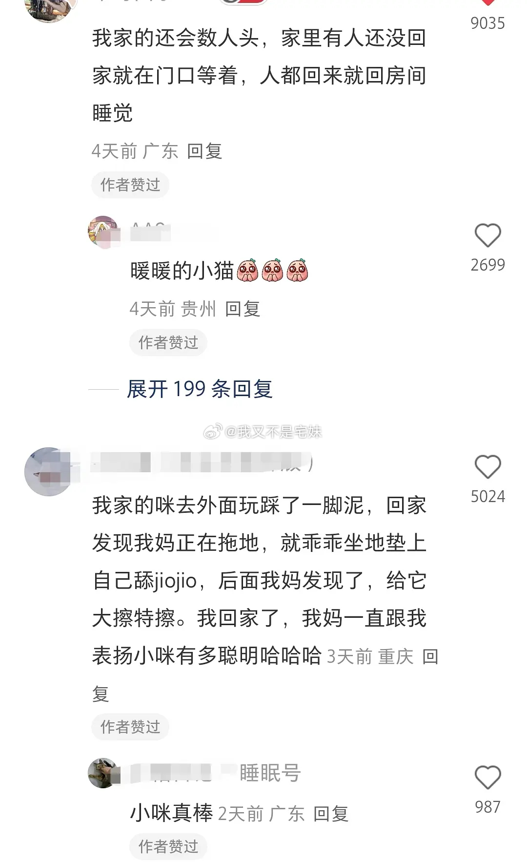 绝世好咪。 