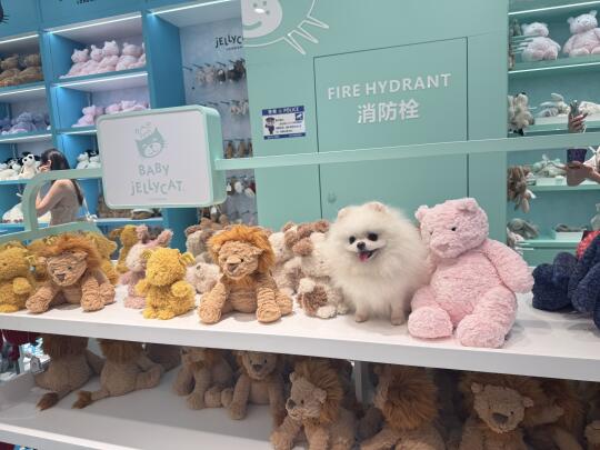 Jellycat出新品了我怎么不知道
