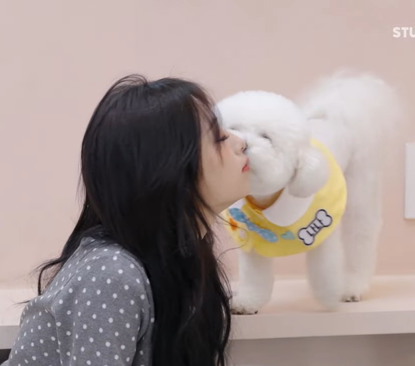 真是恭喜这只小狗了呀（后槽牙咬碎 ​​​