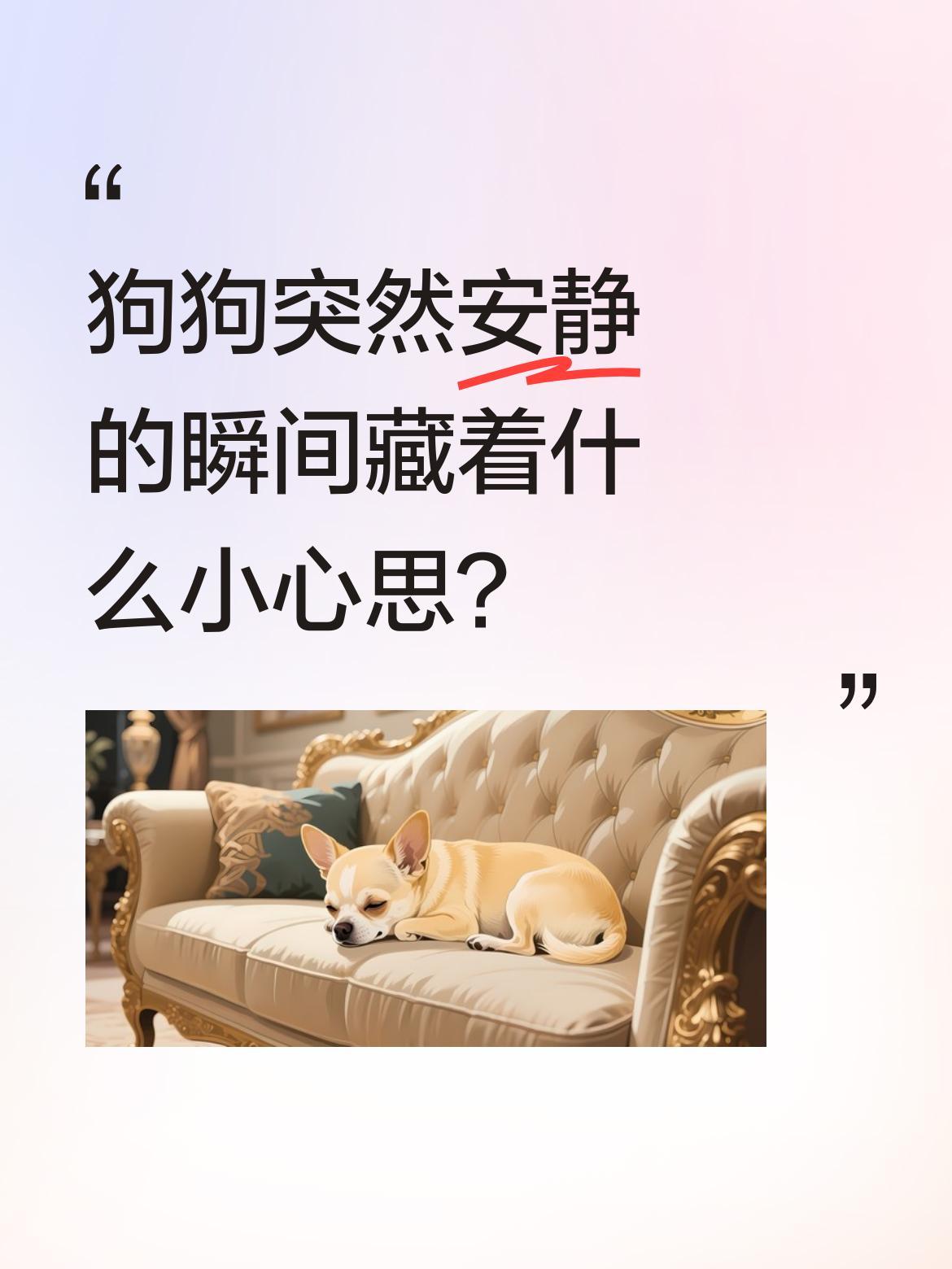 狗狗突然安静的瞬间藏着什么小心思？
最近刷到不少"眼神清澈"的狗狗视频，前一秒还