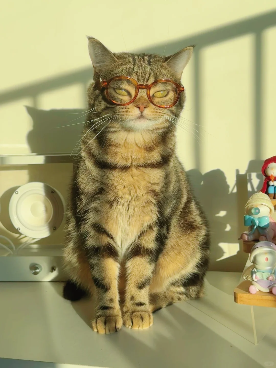 炸一看还以为是哪个猫猫老师呢？？