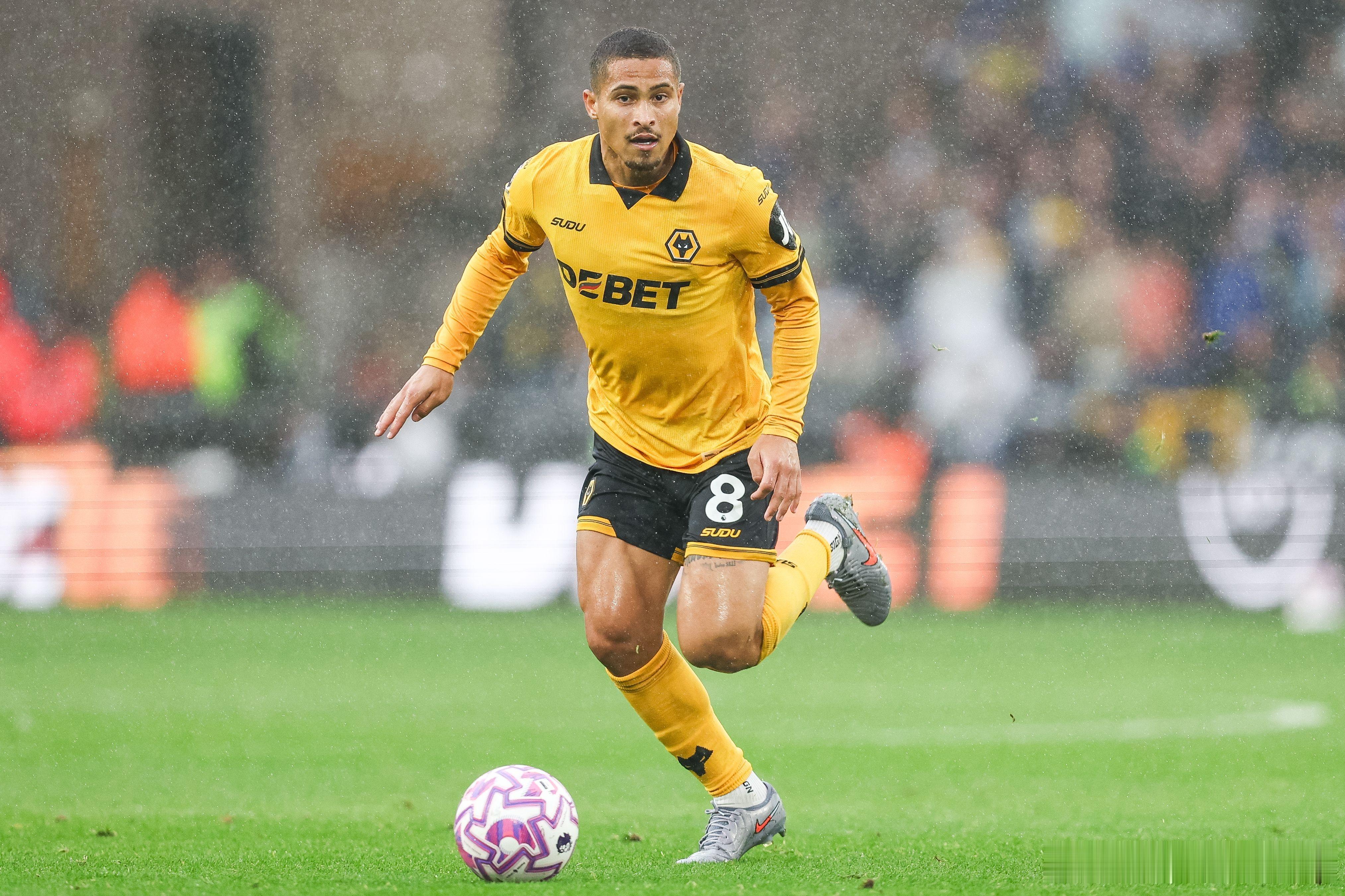 转会动态 狼队降级，中场核心若昂・戈麦斯成今夏抢手货！BBC 消息，水晶宫已正式