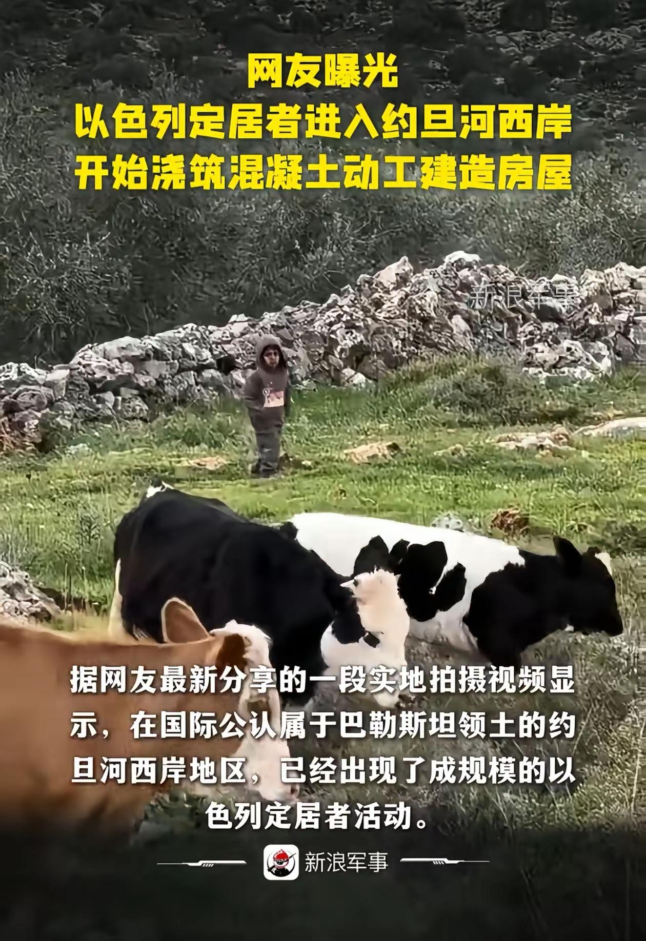 像不像肿瘤侵占健康身体的过程

一大群以色列人开着车带着水泥在约旦河西岸硬化土地