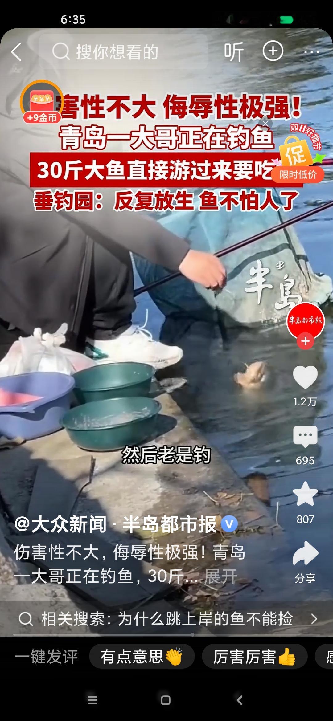 大鱼屡次被钩挂又屡次被放生中练成了狠鱼，它想：我游过来大大方方的找你要吃的，把你