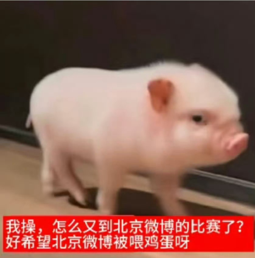 明天咋又有比赛了 