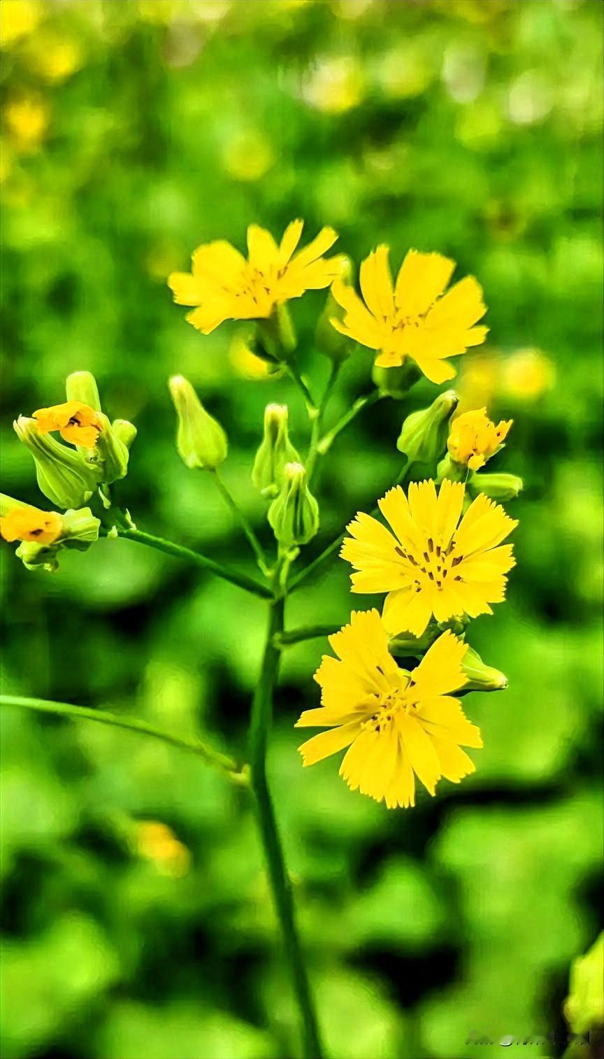 存钱，

是生活的智慧，

亦是梦想的基石。

每一分积攒，

都是对未来的期许