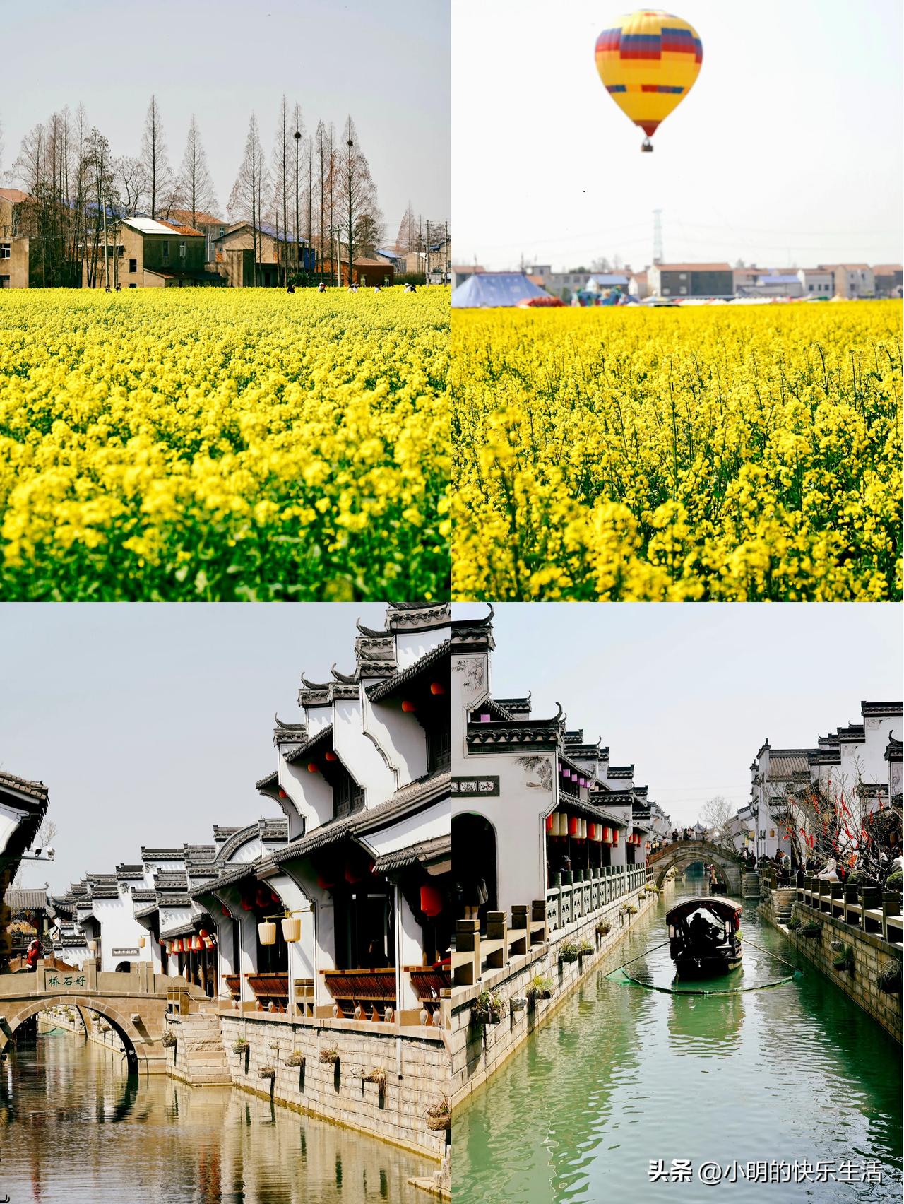 油菜花➕徽派古镇，武汉周边怎么还有这种地方
🌼大片油菜花➕徽派古镇，地点在云梦