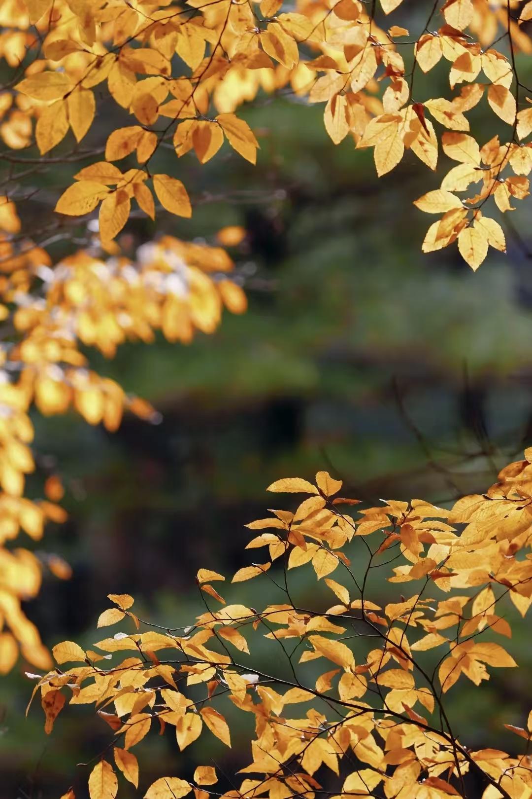 大自然美景，随手一拍天汉冬韵