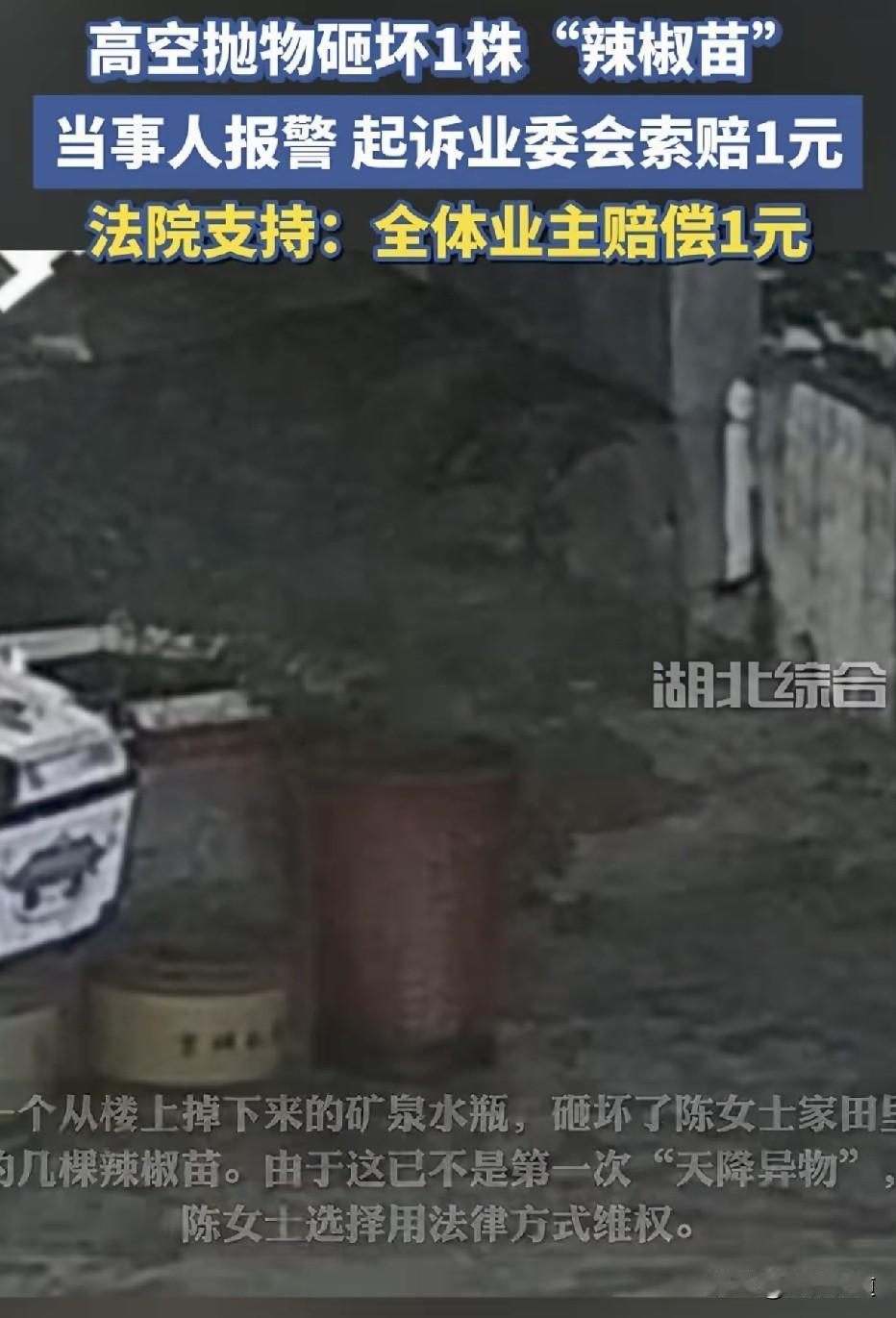 这个较真的劲儿你认为值不值：女子住一楼种了几株辣椒，多次遭楼上扔垃圾砸坏，一气之